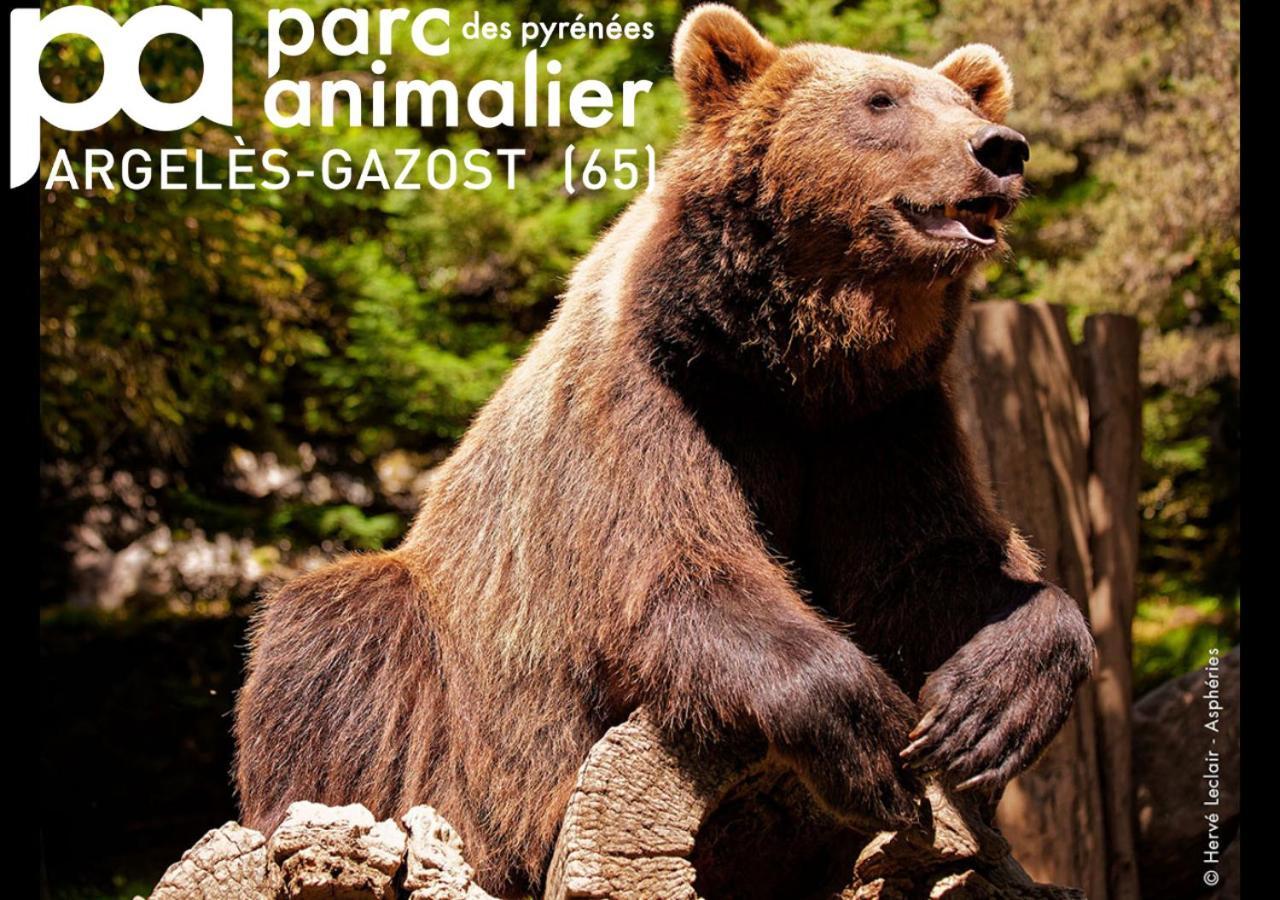 Helgon - Pyrénées